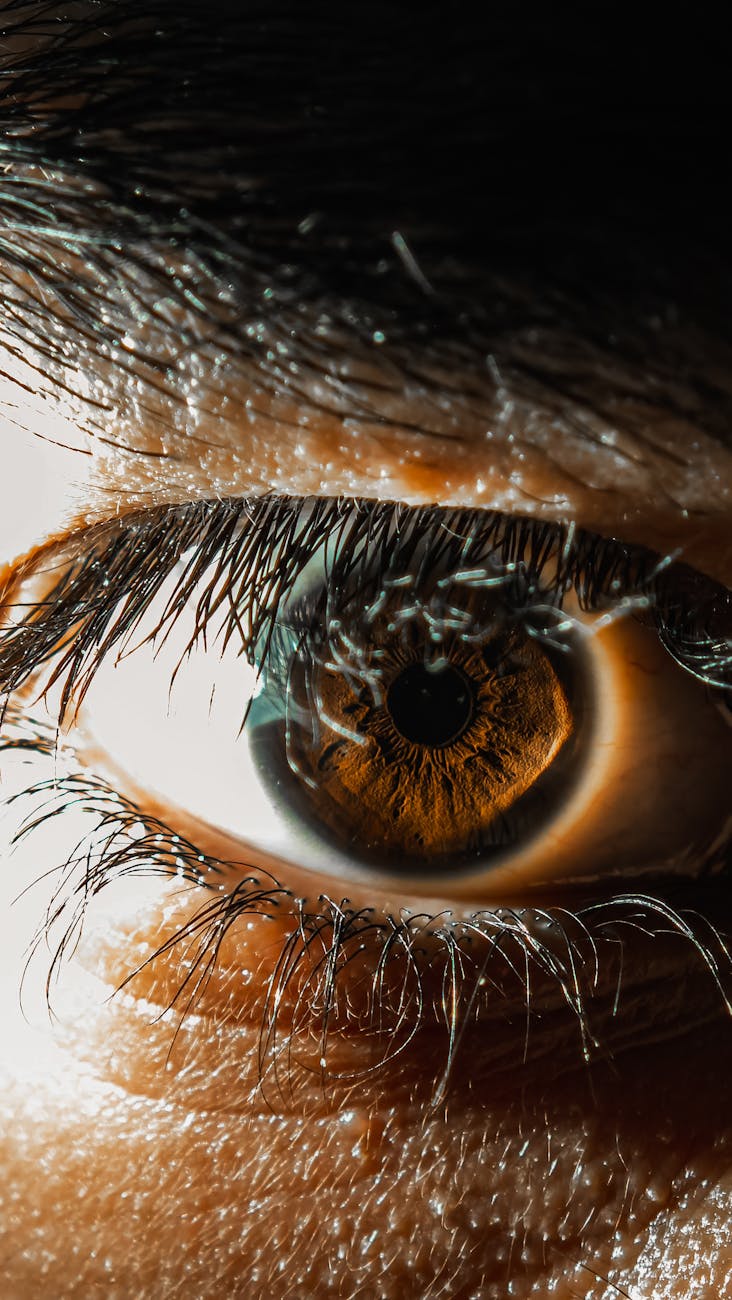 close up of a human eye with detail